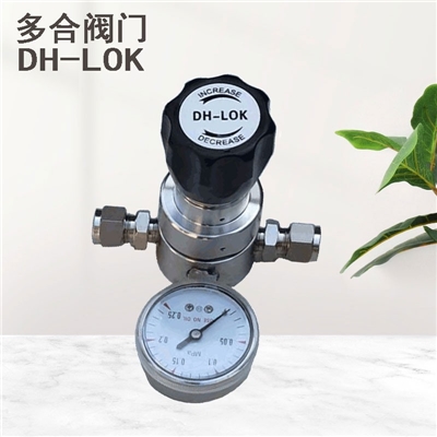 减压阀不锈钢低压减压器高纯气体特气阀门